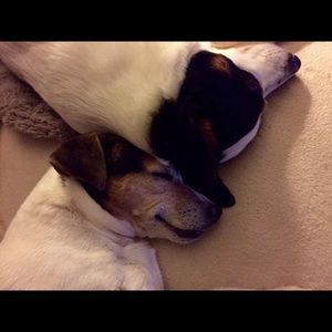 Meet your Posher, Sonya